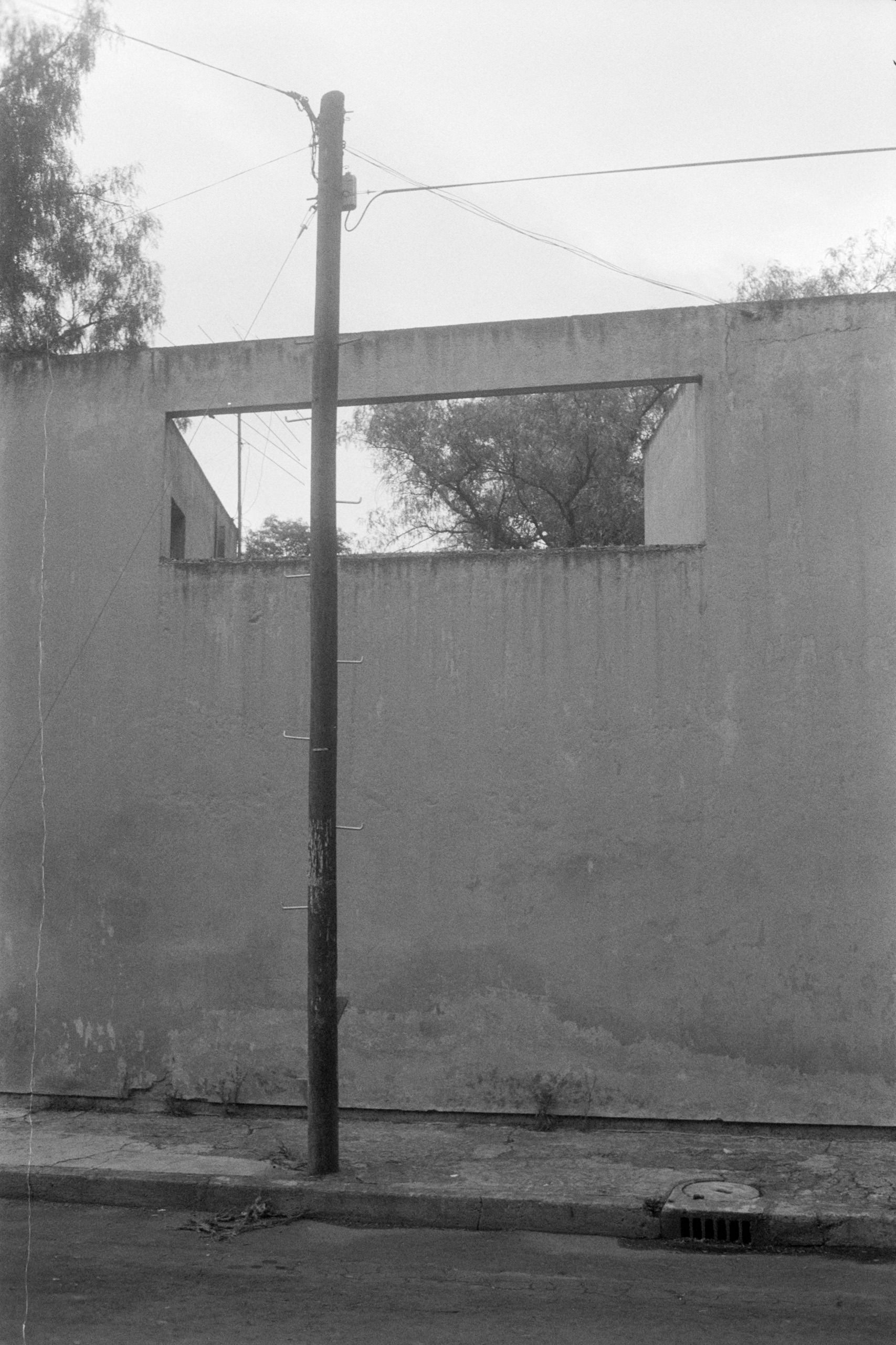 AHP FilmScan 240807 0614